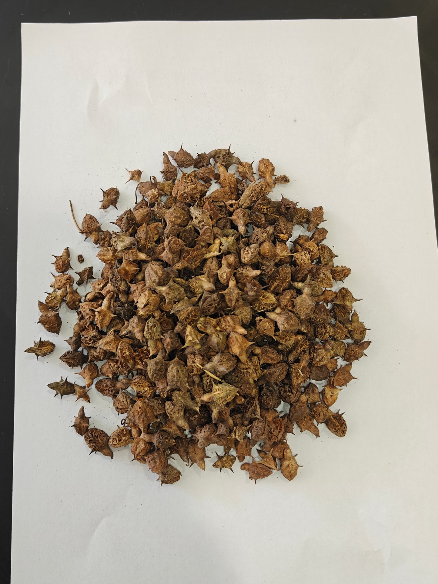 Gokhru Churna (Powder) | Gokshura Churna