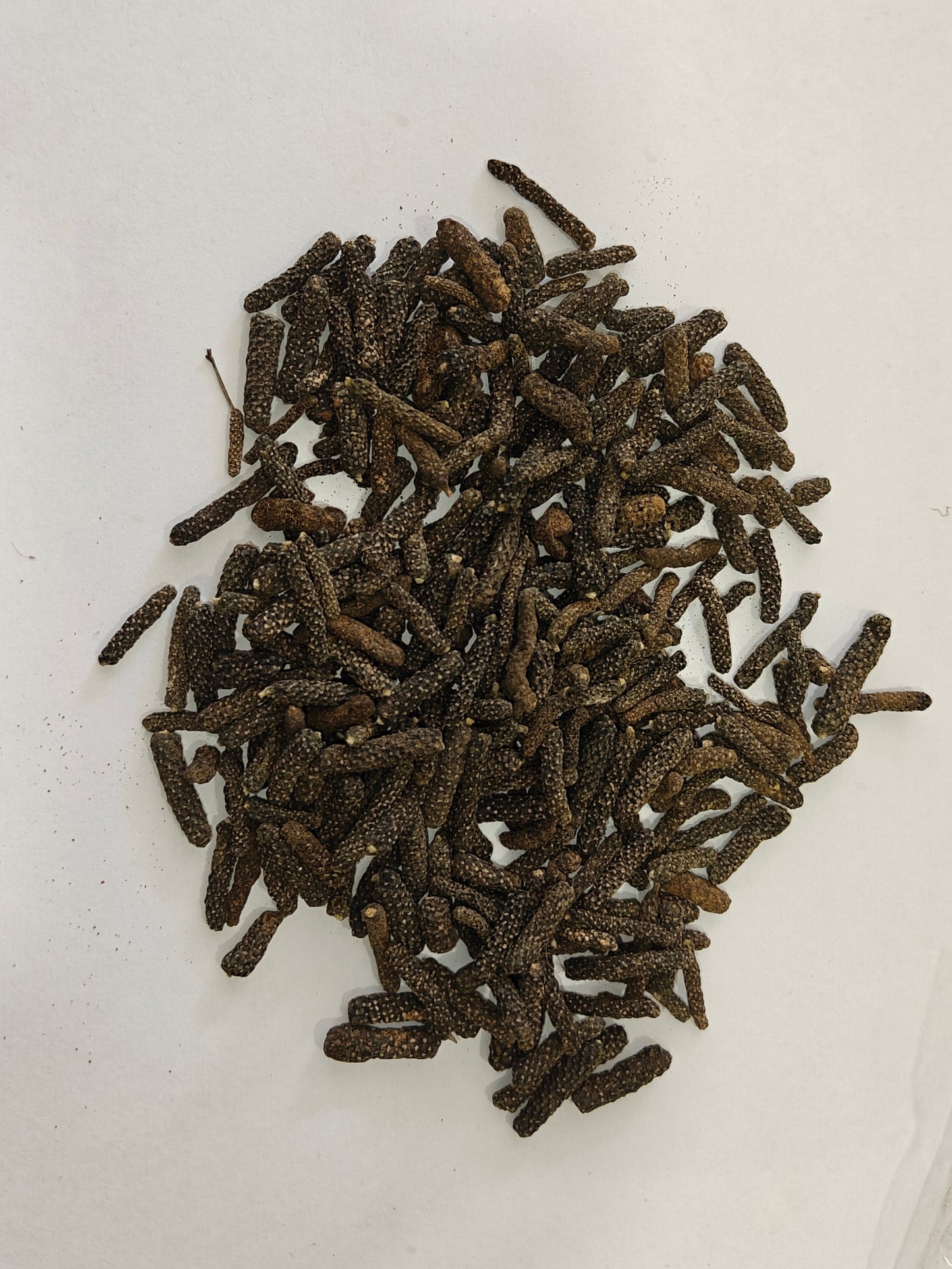 Peepli | Long Pepper | Pippali |Magha Pippli