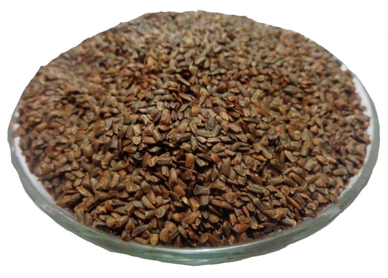Talmakhana (Kokilaksha) by Jaribooti