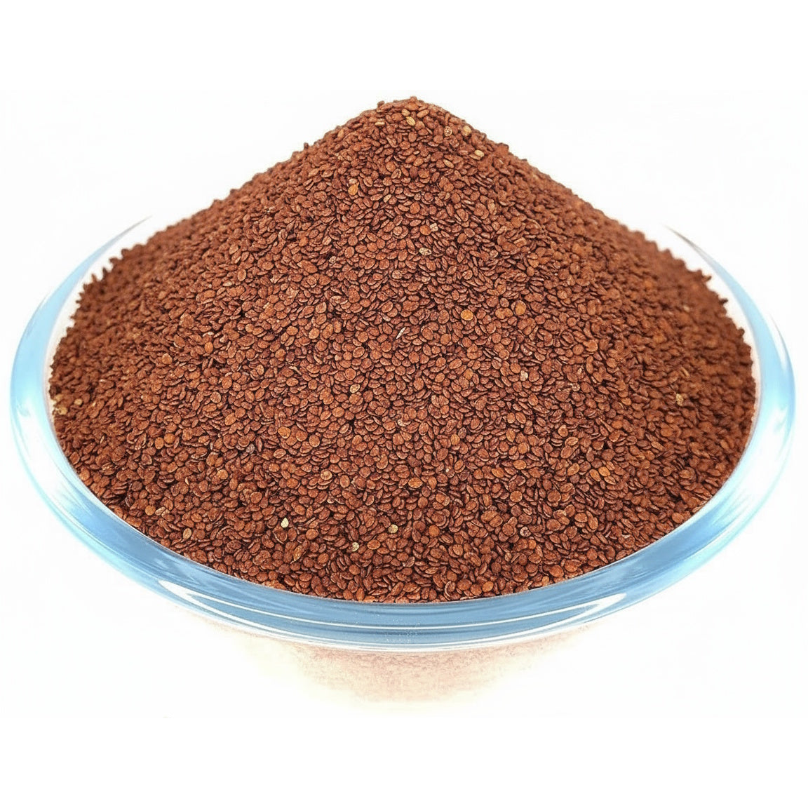Lajwanti Seeds by Jaribooti