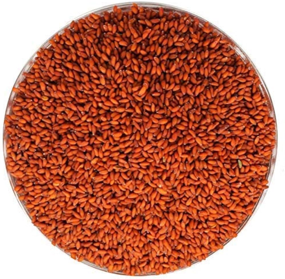 Halim Seeds by Jaribooti