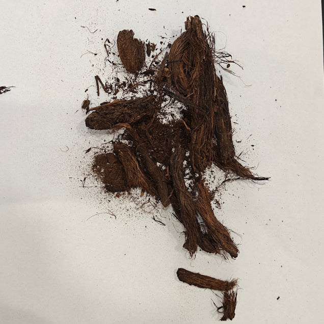 Jatamansi (Powder) Churna