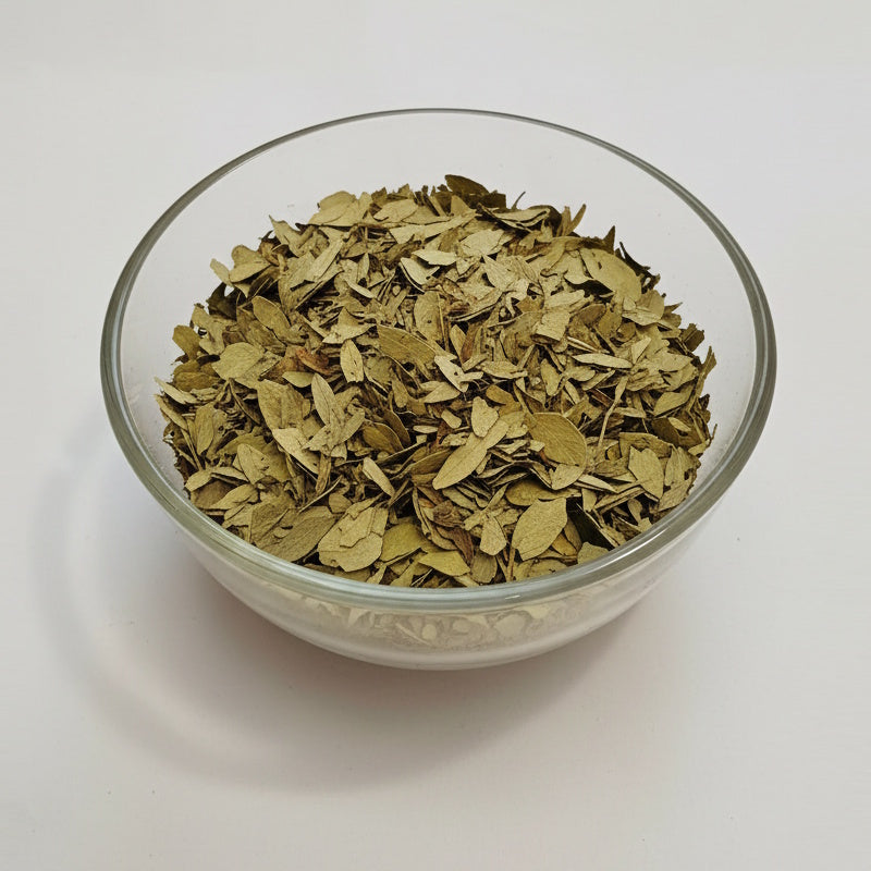 Swarnapatri | Senna Leaves