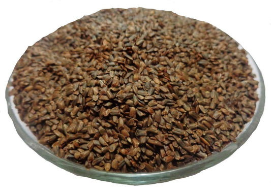 Talmakhana (Kokilaksha) by Jaribooti