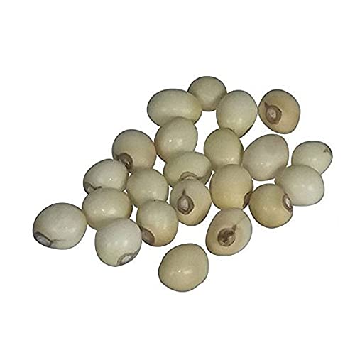 Gunja | Gomchi | Ratti | Chirmit | Roasary Beads
