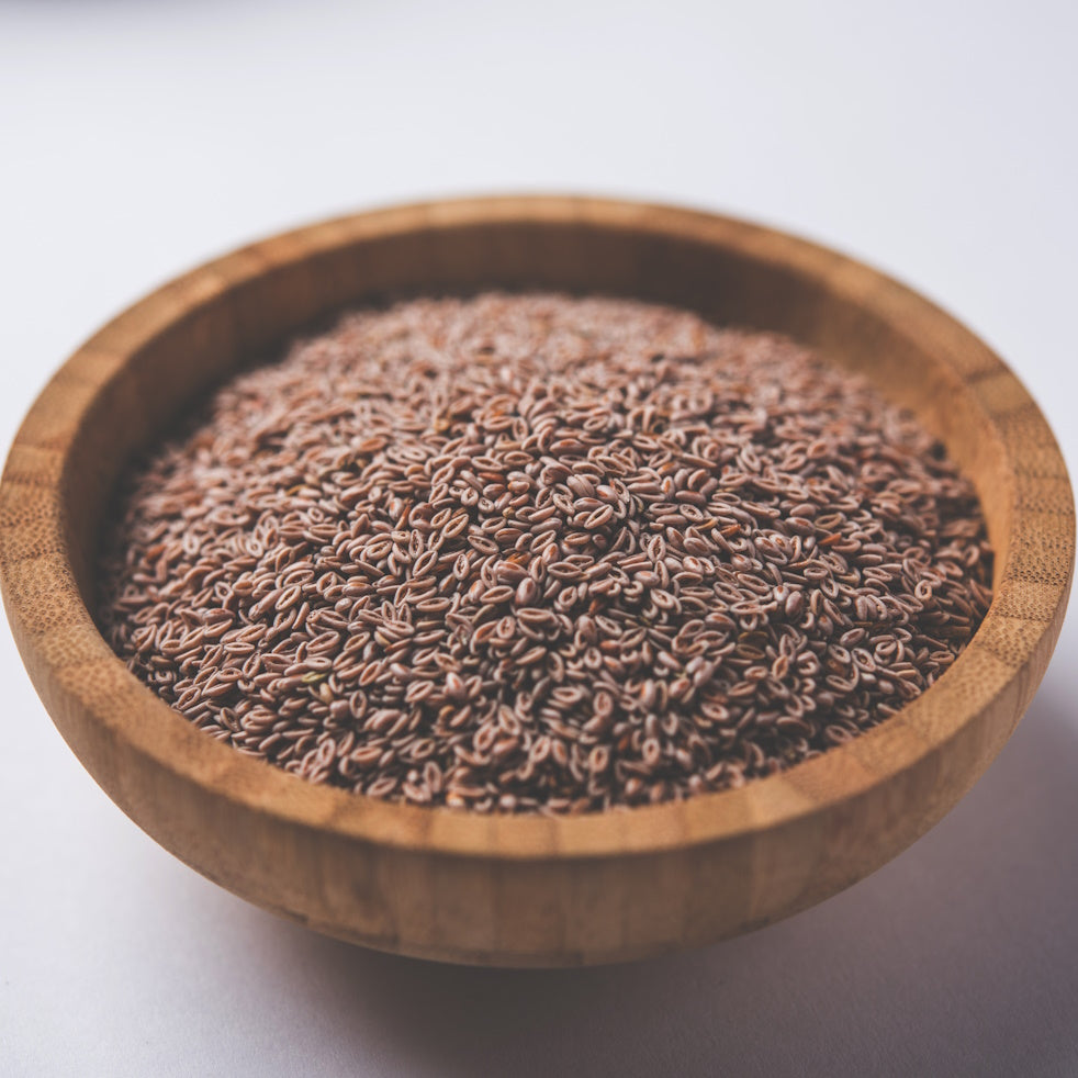 Isabgol Sabut | Psyillum Seed