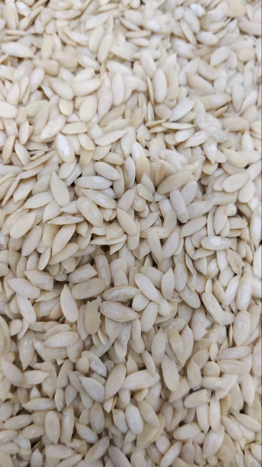Musk Melon Seeds (Husked ) by Jaribooti