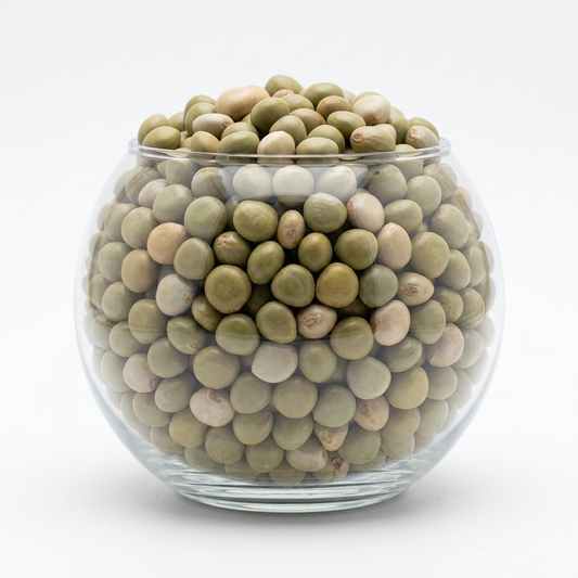 vinarghya | Sagargota|Katkaranj|Fever Nut|Caesalpinia Bonducella|Karanjwa|Kalarchikai|Vajra Bijaka|Indian Beech|Lata Karanj|Gajaa | Sagargoti|Saargota|Letaguti|Gajga|Gajikekayi