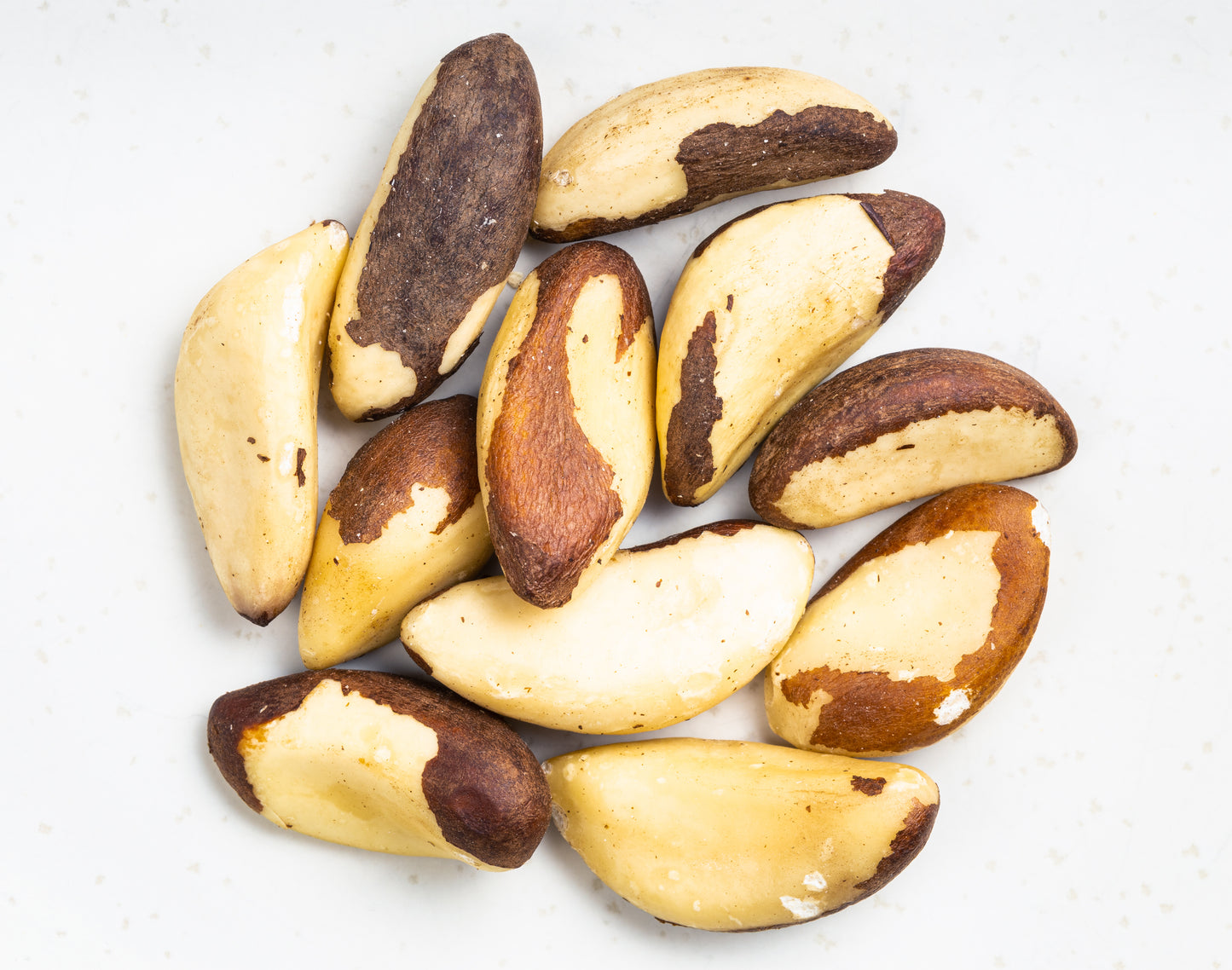 Brazil Nuts